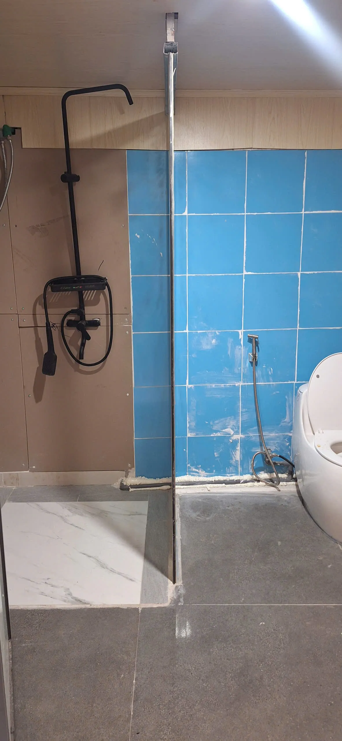 Shower and toilet with blue wall tiles